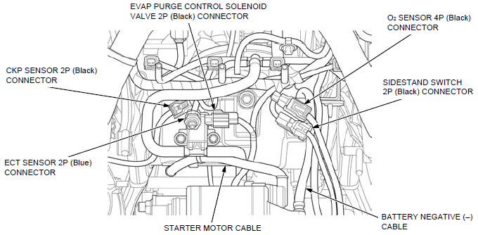 Cable & Harness routing